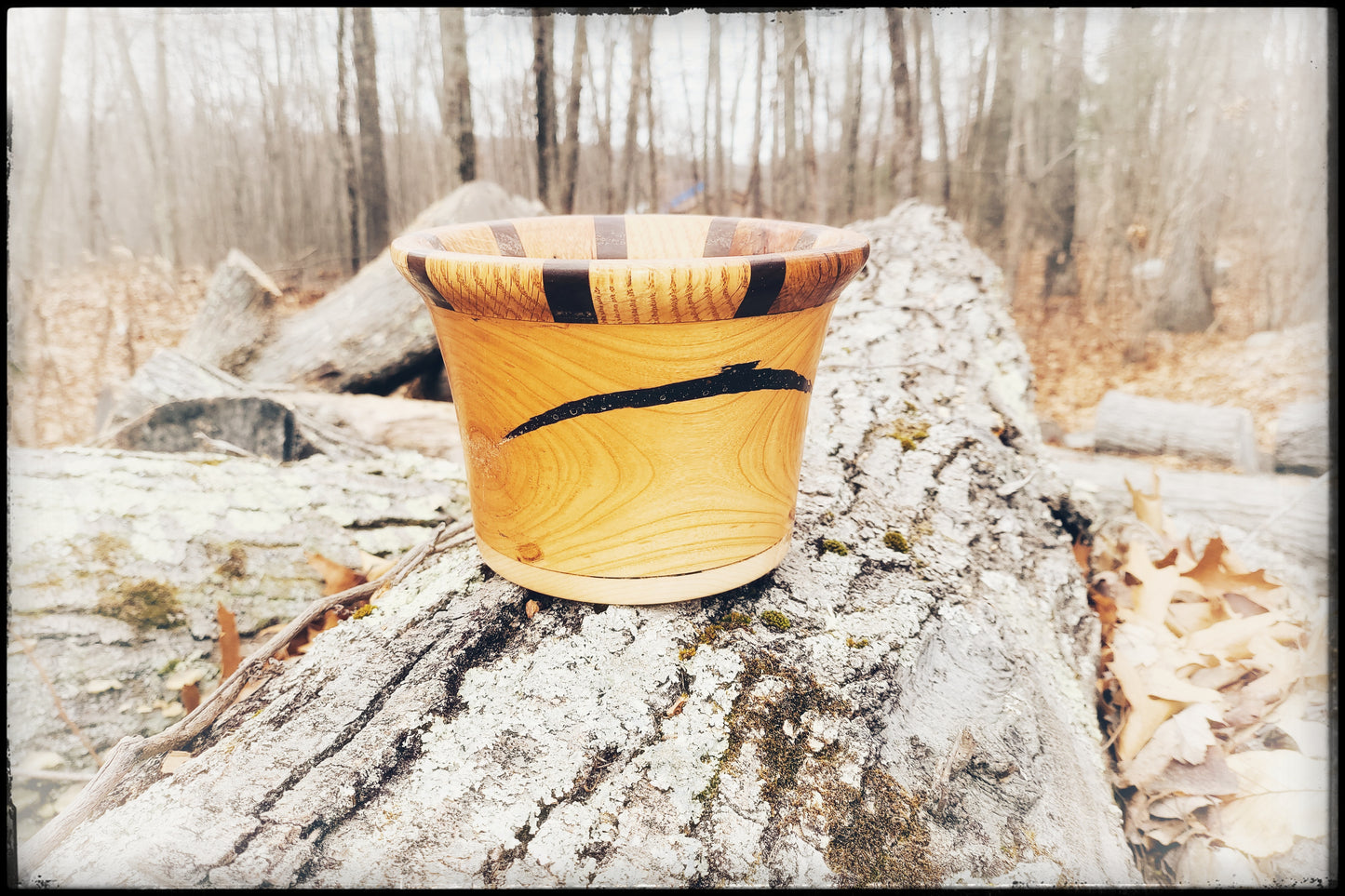 Oak and Walnut Ringed Bowl