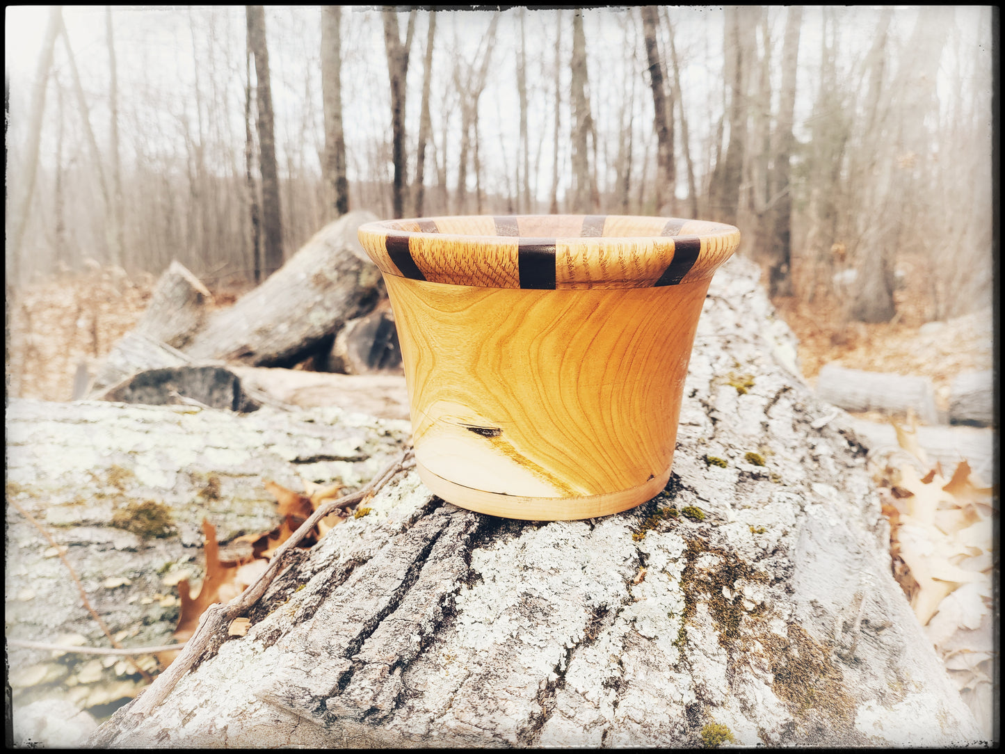 Oak and Walnut Ringed Bowl