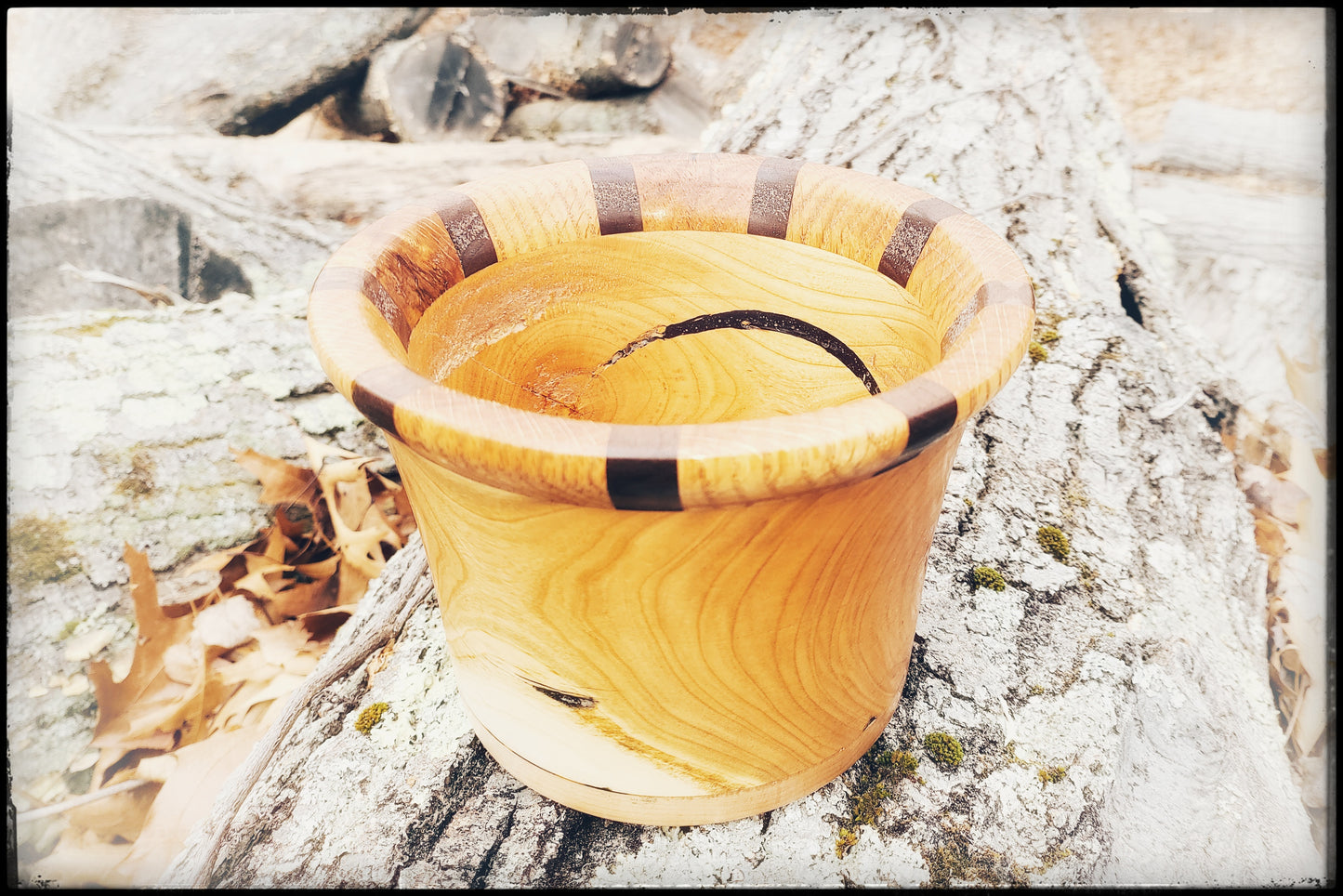 Oak and Walnut Ringed Bowl